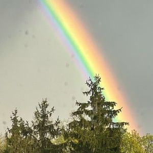 Meet your Posher, Malcolm